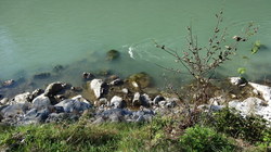Bild_3; 251906