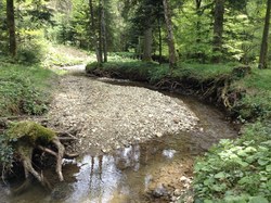 Bild_1; 254393