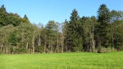 Bild_1; 255520