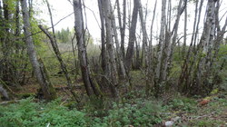 Bild_2; 256291
