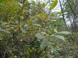 Bild_3; 256377
