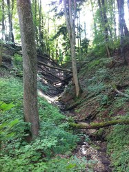 Bild_1; 257870