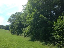 Bild_2; 261202