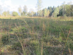 Bild_2; 262147
