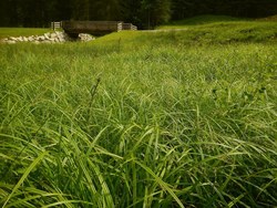 Bild_3; 262386