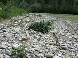 Bild_3; 263223