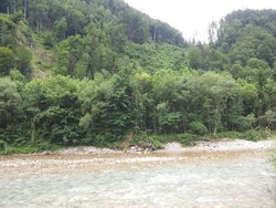 Bild_1; 263896