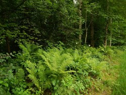 Bild_3; 264240