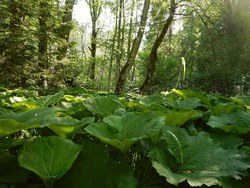 Bild_3; 264887