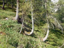 Bild_3; 265721