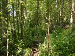Bild_3; 265827