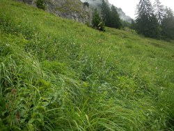 Bild_2; 265988