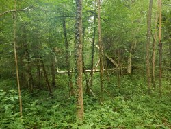 Bild_2; 266329