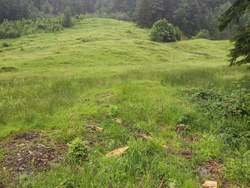 Bild_1; 266372
