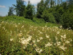Bild_2; 266397