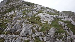 Bild_2; 266807
