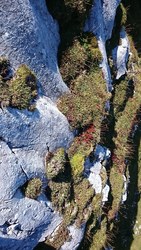 Bild_3; 266832