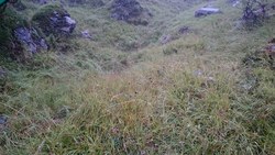 Bild_2; 266908