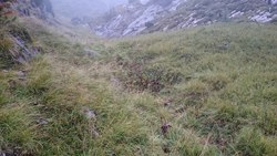 Bild_1; 266909