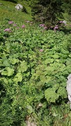 Bild_3; 266942