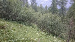 Bild_2; 266987