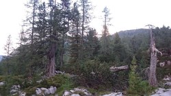 Bild_2; 267047