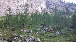 Bild_1; 267049
