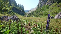 Bild_2; 267058