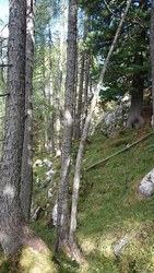 Bild_3; 267105