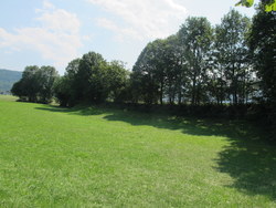 Bild_1; 267801
