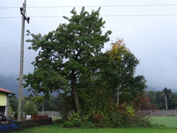 Bild_2; 268455