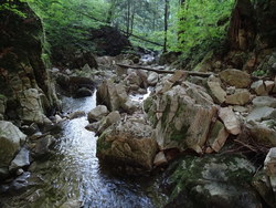 Bild_3; 268595