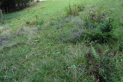 Bild_2; 269131