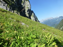 Bild_3; 269572