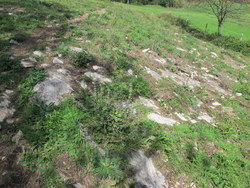 Bild_2; 277853