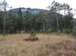 Bild_1; 278469