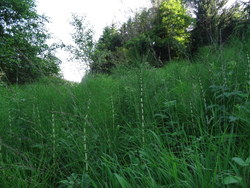 Bild_3; 278861