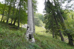 Bild_2; 279064