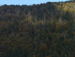 Bild_1; 279331