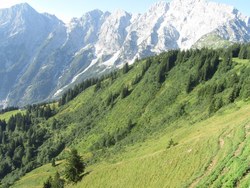 Bild_1; 280355