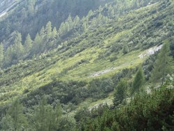 Bild_1; 280476