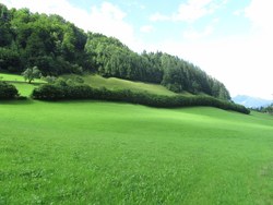 Bild_1; 280569