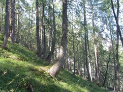 Bild_2; 280576