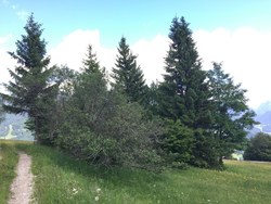 Bild_1; 284427