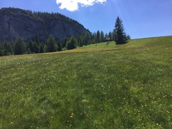 Bild_1; 284478