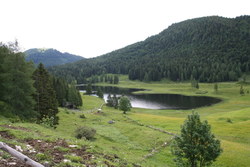 Bild_1; 284983