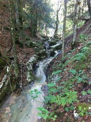 Bild_1; 285133