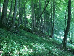 Bild_2; 285451