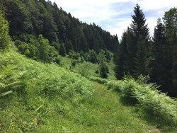 Bild_1; 285489