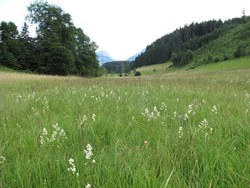 Bild_2; 285575
